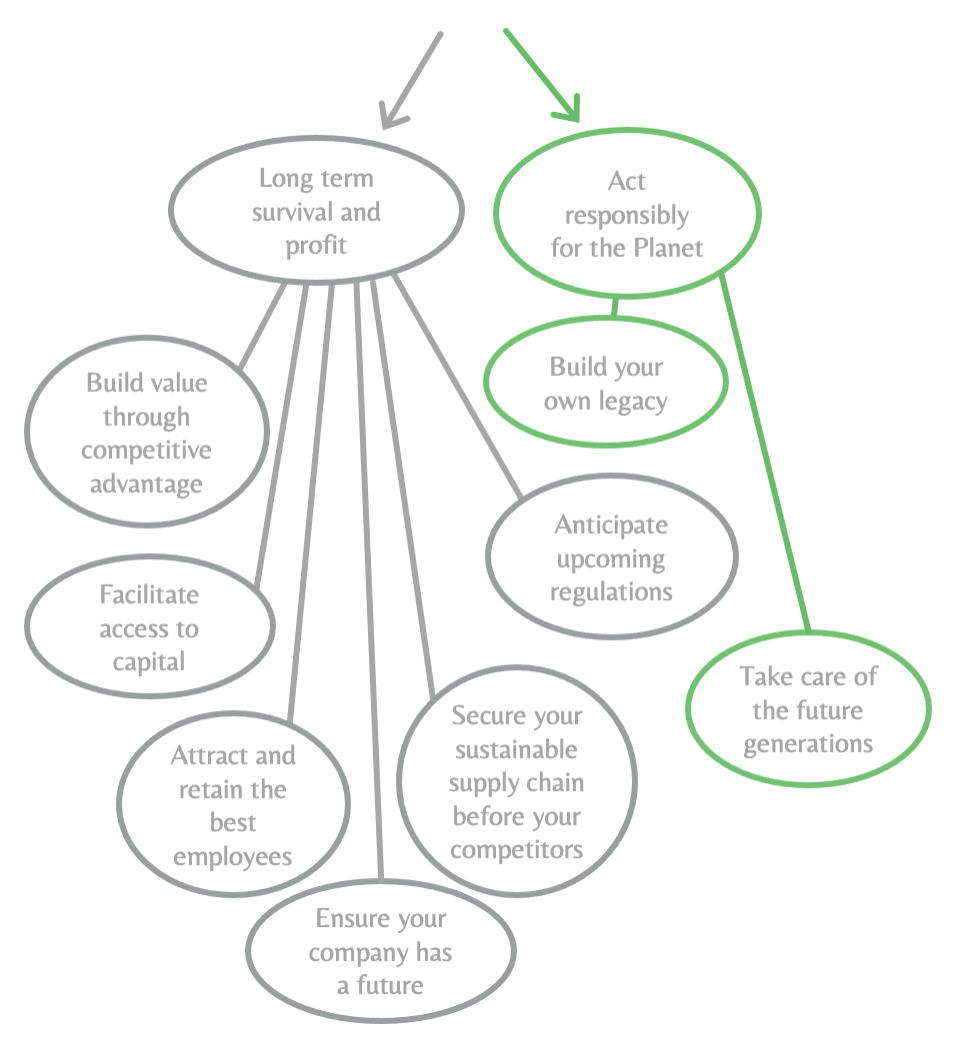 Why - Circle Dev